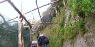 Una passeggiata lungo il suggestivo “Sentiero dei limoni”