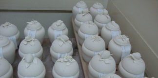 Tradizione e innovazione, l’istituto “Caselli” di Capodimonte è “indirizzo raro”