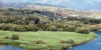 Ente Riserve e Wwf insegnano a pescare nella maniera giusta all’Oasi di Persano