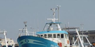 Mipaaf, un tavolo di consultazione per pesca e acquacoltura