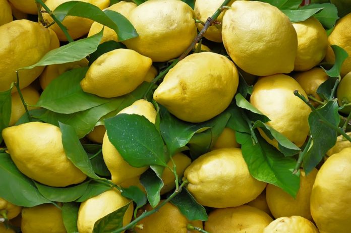 Limone-Costa-di-Amalfi-IGP