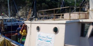 Alici come prima coniuga a Cetara per la prima volta  ristorazione di qualità e pescaturismo.