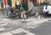 Interventi di manutenzione e messa in sicurezza di via Lama a Minori.