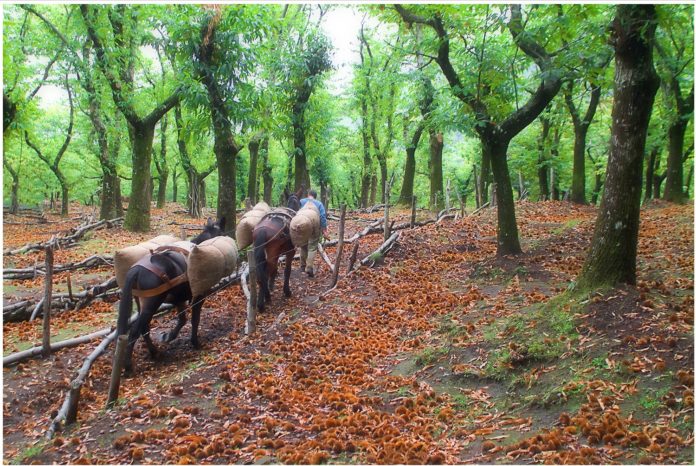 Tramonti-Borghi-Autentici-d_Italia-foto