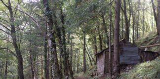 l sentieri di Maiori, abbandonati e non più fruibili, da parte del Comitato Tuteliamo la Costiera Amalfitana.