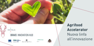Agrifood Accelerator, progetto per velocizzare ingresso nel mercato.