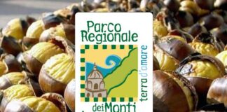 La castanicoltura dei Monti Lattari, incontro a Scala sabato 15.