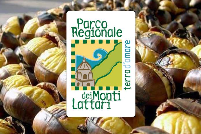 Monti-Lattari-la-raccolta-delle-castagne