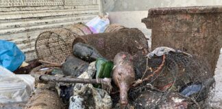 Amalfi contro il beach littering. Scuole, sub e volontari insieme. Il report e i numeri dei rifiuti raccolti in spiaggia e dal mare per l’iniziativa “Spiagge e Fondali Puliti”.