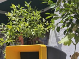 Amalfi avanti sulla raccolta differenziata